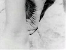 lucero3
